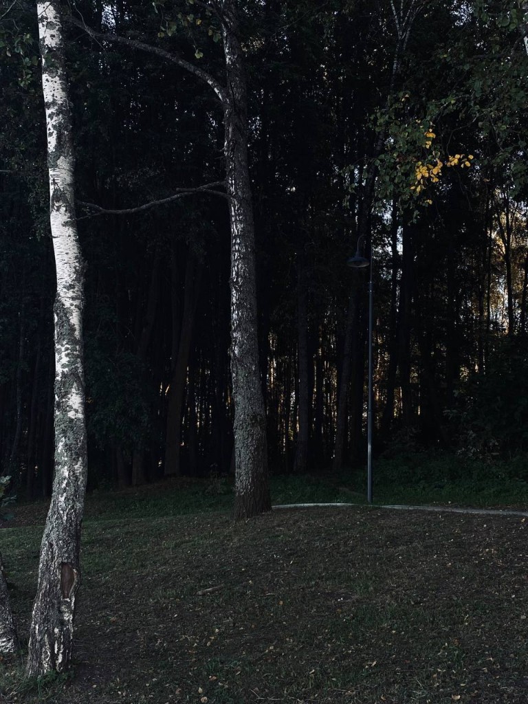 Свет и пейзаж — ph.moraru